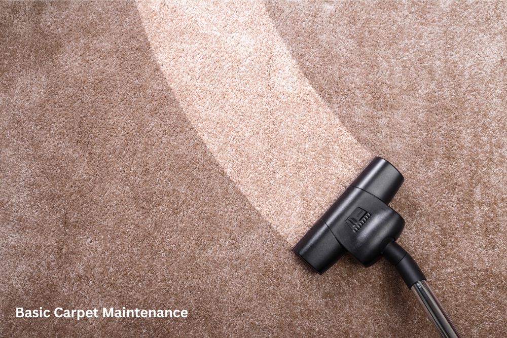 Carpet floor cleaning | Carpet Your World