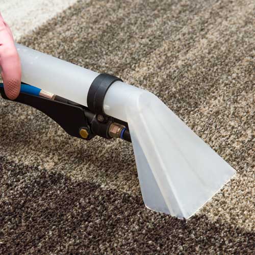 Carpet Cleaning | Carpet Your World